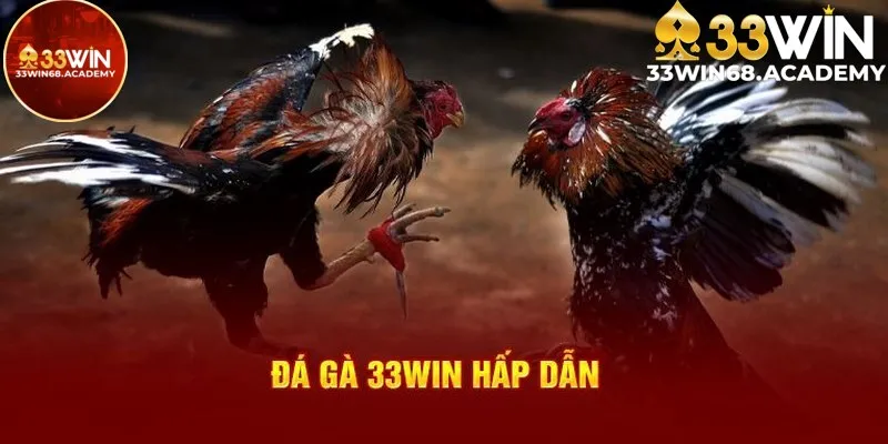 Tìm hiểu về sân chơi đá gà 33win