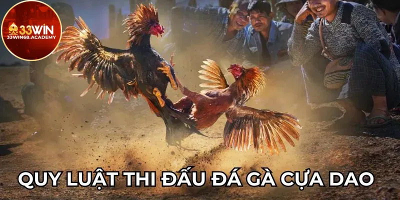 Quy luật thi đấu đá gà cựa dao